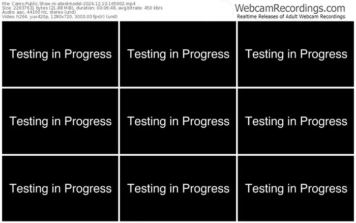 cams-atestmodel-12-10-2024-16-59-02