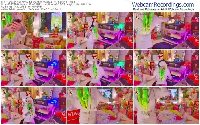 cams-aspenpeeks-12-11-2024-00-28-00