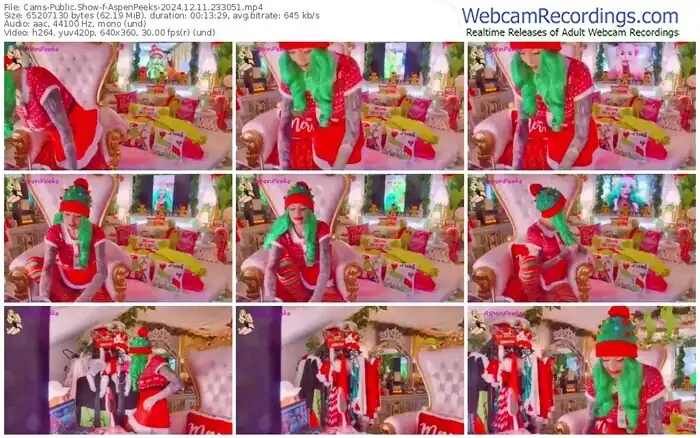 cams-aspenpeeks-12-11-2024-23-30-51