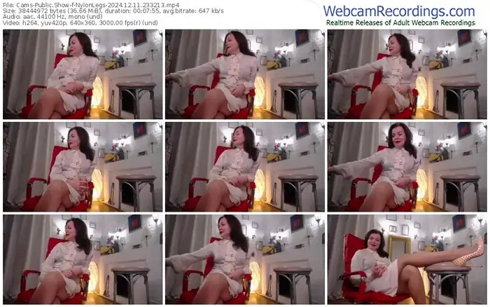cams-nylonlegs-12-11-2024-23-32-13