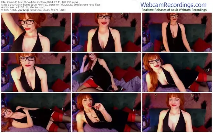 cams-poisoneva-12-11-2024-10-29-33