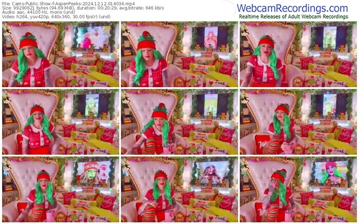 cams-aspenpeeks-12-12-2024-01-40-34