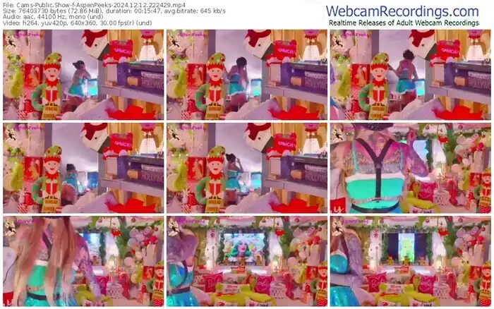 cams-aspenpeeks-12-12-2024-22-24-29