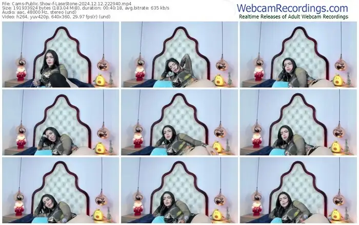 cams-lasestone-12-12-2024-22-29-40