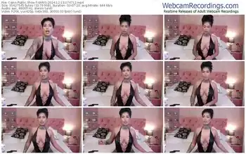 cams-aaris-12-13-2024-07-47-12