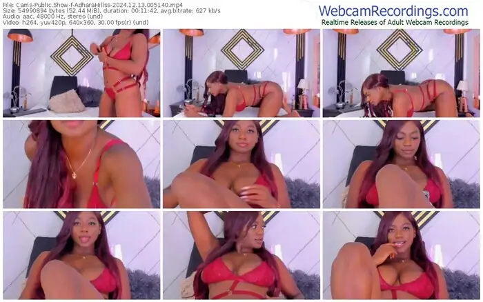 cams-adharahillss-12-13-2024-00-51-40