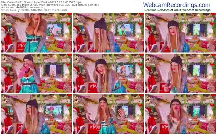 cams-aspenpeeks-12-13-2024-00-35-27