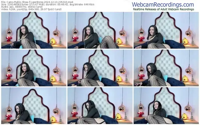 cams-lasestone-12-13-2024-23-53-10