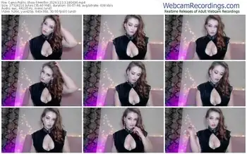 cams-merllin-12-13-2024-18-06-36