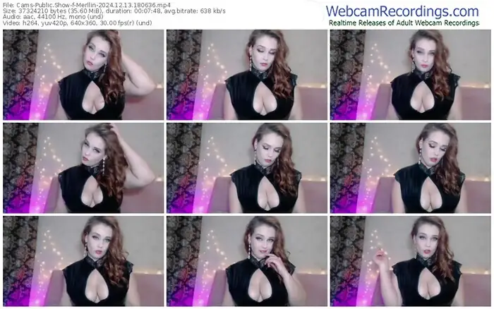 cams-merllin-12-13-2024-18-06-36