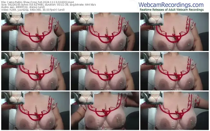 cams-zoe_hot-12-13-2024-02-42-02