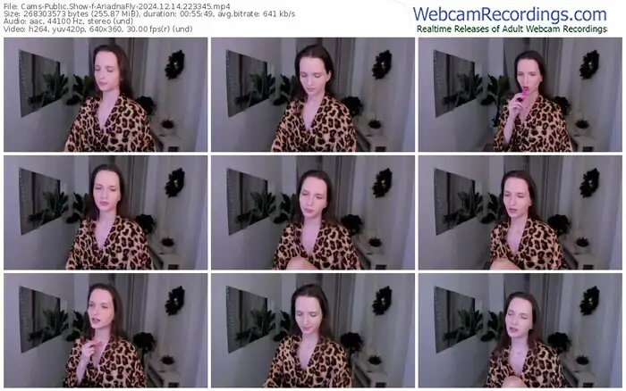 cams-ariadnafly-12-14-2024-22-33-45