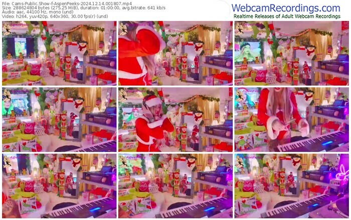 cams-aspenpeeks-12-14-2024-00-18-07