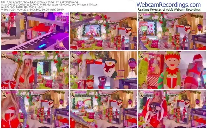 cams-aspenpeeks-12-14-2024-03-38-08