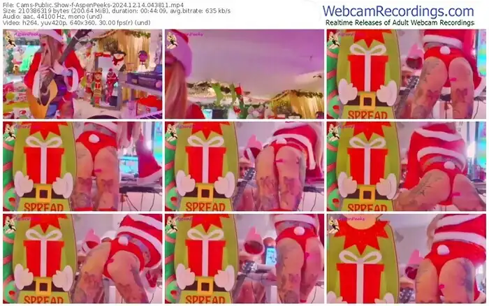 cams-aspenpeeks-12-14-2024-04-38-11