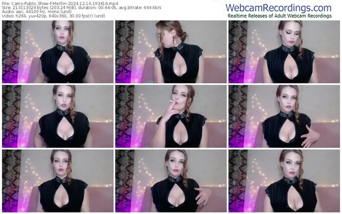 cams-merllin-12-14-2024-19-34-16