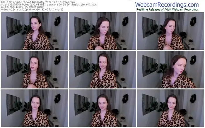 cams-ariadnafly-12-15-2024-01-29-42
