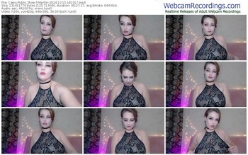 cams-merllin-12-15-2024-18-10-17