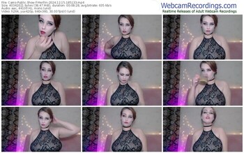cams-merllin-12-15-2024-18-51-33