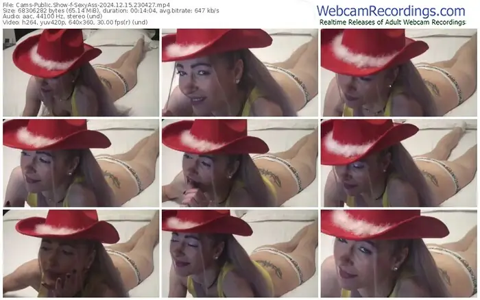 cams-sexyass-12-15-2024-23-04-27