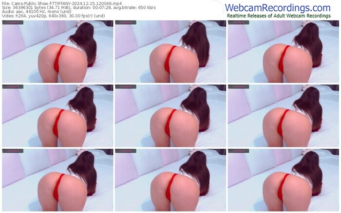 cams-ttiffany-12-15-2024-12-00-49
