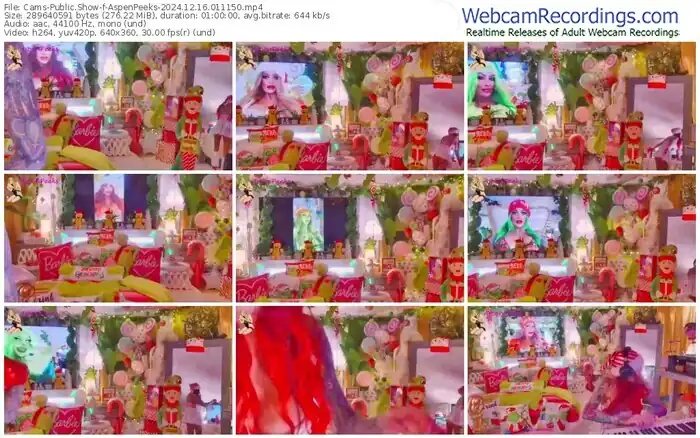 cams-aspenpeeks-12-16-2024-01-11-50