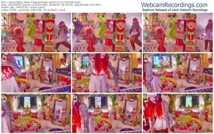 cams-aspenpeeks-12-16-2024-03-00-30