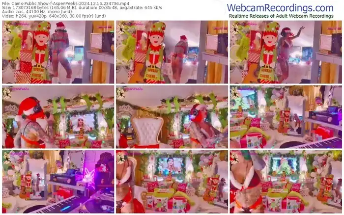 cams-aspenpeeks-12-16-2024-23-47-36