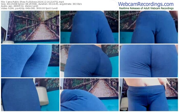 cams-lillyboss-12-16-2024-21-47-51