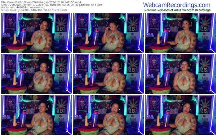 cams-tashavegas-12-16-2024-14-11-55