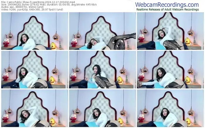 cams-lasestone-12-17-2024-00-34-32