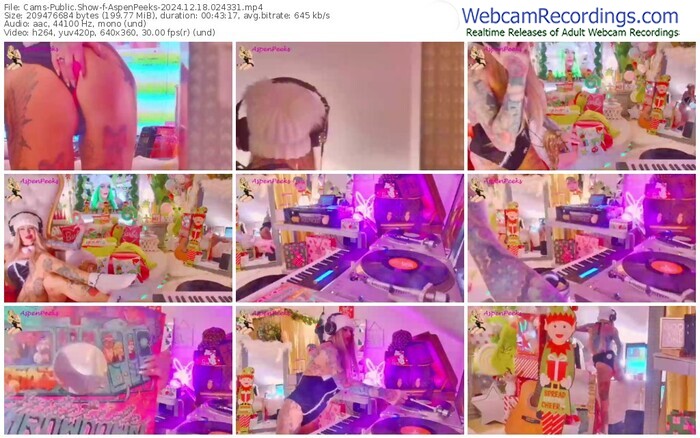 cams-aspenpeeks-12-18-2024-02-43-31