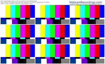 cams-ff_mur-12-18-2024-06-35-04