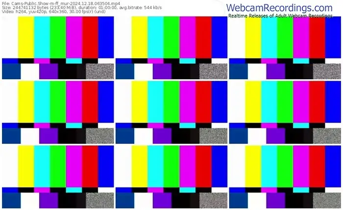 cams-ff_mur-12-18-2024-06-35-04