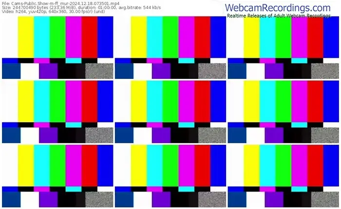 cams-ff_mur-12-18-2024-07-35-01