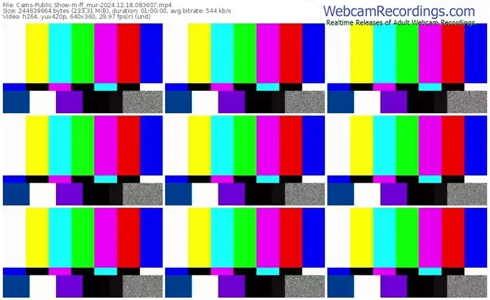 cams-ff_mur-12-18-2024-08-36-07