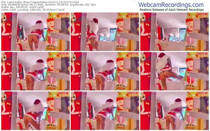 cams-aspenpeeks-12-19-2024-21-57-10