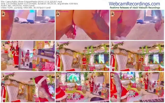 cams-aspenpeeks-12-19-2024-22-52-07