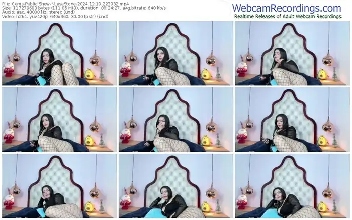 cams-lasestone-12-19-2024-22-30-32
