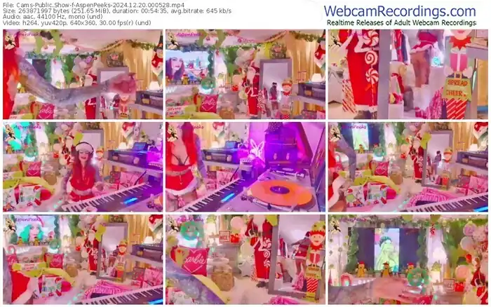 cams-aspenpeeks-12-20-2024-00-05-28