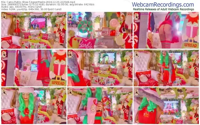 cams-aspenpeeks-12-20-2024-22-25-48