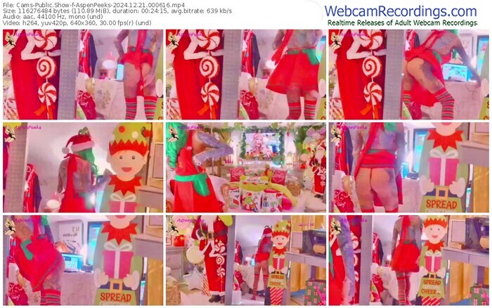 cams-aspenpeeks-12-21-2024-00-06-16