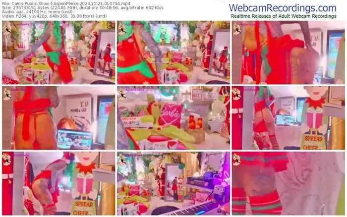 cams-aspenpeeks-12-21-2024-01-07-34