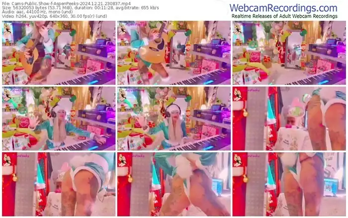 cams-aspenpeeks-12-21-2024-23-08-37