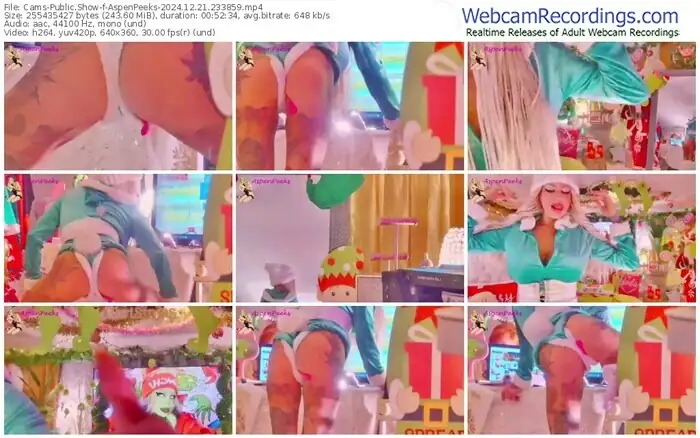 cams-aspenpeeks-12-21-2024-23-38-59