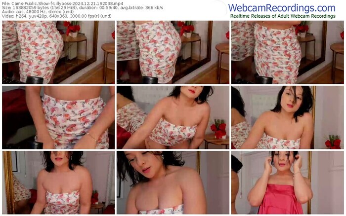 cams-lillyboss-12-21-2024-19-20-38