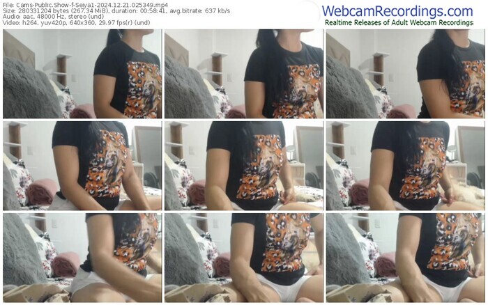 cams-seiya1-12-21-2024-02-53-49