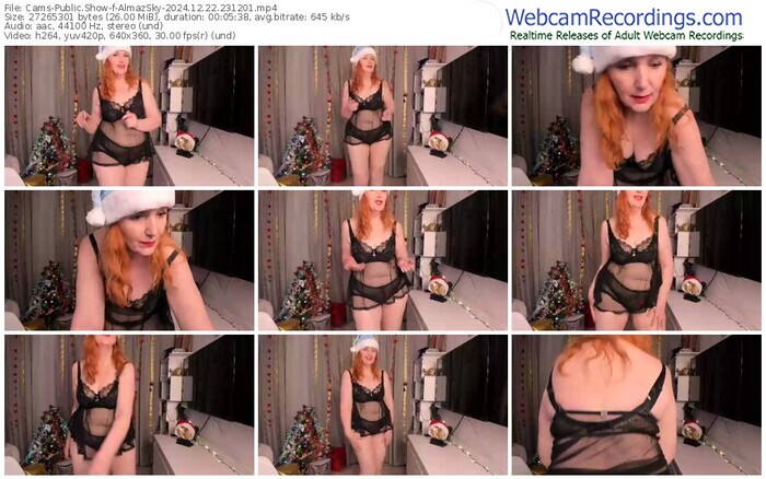 cams-almazsky-12-22-2024-23-12-01