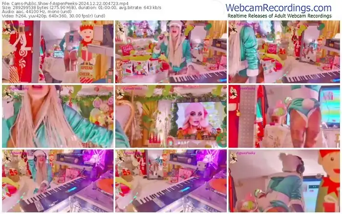 cams-aspenpeeks-12-22-2024-00-47-23