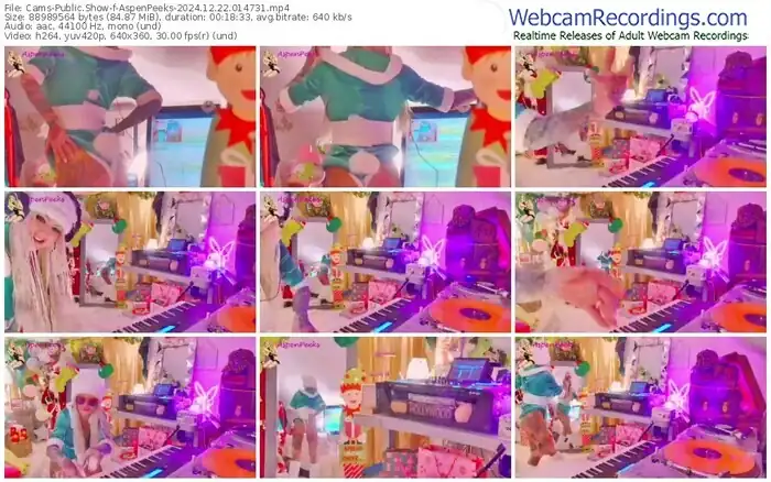 cams-aspenpeeks-12-22-2024-01-47-31